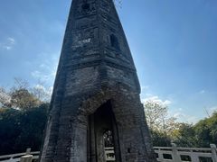 -上海佘山国家森林公园天马山园