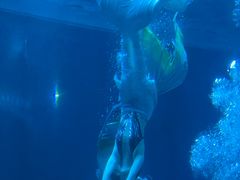 -海合安成都极地海洋公园