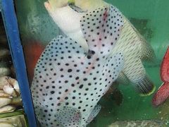-鲤鱼门海鲜街
