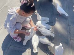 -天津妈祖文化园