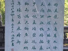 -长广溪湿地公园
