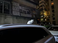 -老街冷水鱼烧烤(河堤夜市店)