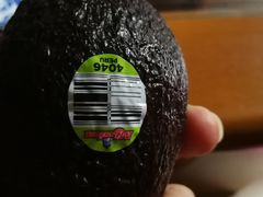 -果叔鲜果(广州广氮花园店)