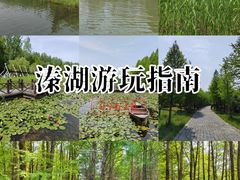 -溱湖国家湿地公园