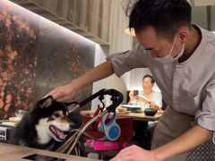 -蘑界·野生菌火锅(深业上城店)