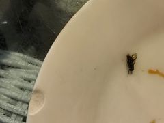 -大鹅岛绿色生态美食园