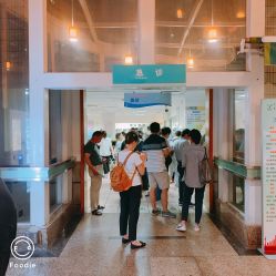 -上海交通大学医学院附属上海儿童医学中心(陆家嘴总院区)