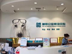 -美联众合动物医院·24h转诊中心