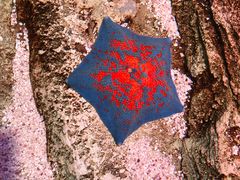 -沈阳海洋探索中心