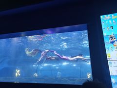 -重庆欢乐海底世界