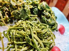 东北野菜酱汁菜-那家老院子东北菜·饺子·小鸡炖蘑菇(艳华街店)