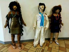 -济州岛泰迪熊博物馆