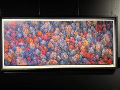 -罗红摄影艺术馆