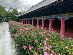 -崇圣寺三塔文化旅游区