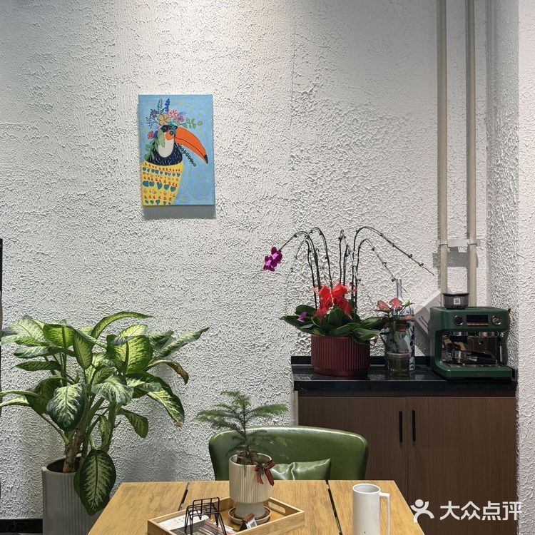 北京居然还有这样的地方!仿佛绿野仙踪世界