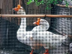 -日出青木·杭帮菜名店