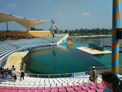 -秦皇岛乐岛海洋王国