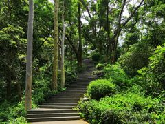 -罗三妹山