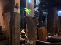-陶享时光西餐·下午茶·竹林花园(新城店)