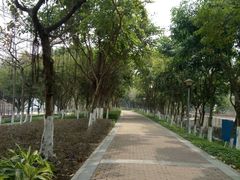 -怡海公园(桂城街道)