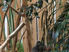 -小镇影院迪士尼小熊Duffy与他的朋友合影地