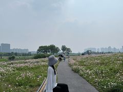 -洋湖国家湿地公园