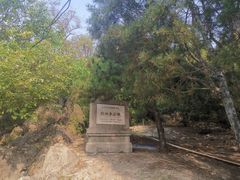 -白水寺森林公园