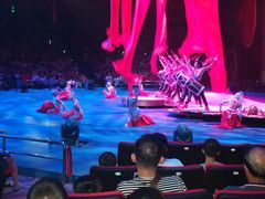 -珠海横琴长隆《卡卡虎奇遇记》