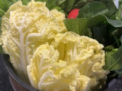 蔬菜拼盘-阳坊涮肉(西直门凯德mall店)