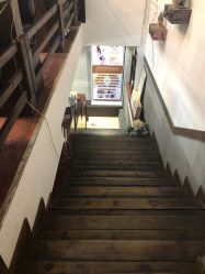 -红人馆造型十添