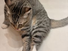 -潮汕首席·大排档(天河员村店)