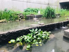 -中国湿地博物馆
