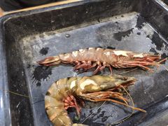 -ZF Seafood Restaurant 卓峰海鲜餐