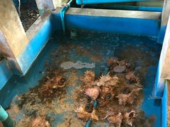 -大螃蟹海鲜餐厅
