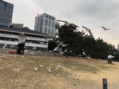 -台场海滨公园船码头