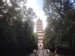 -灵谷景区