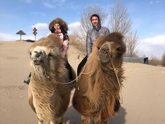 -库伦旗银沙湾旅游景区