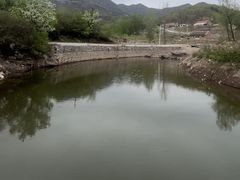 -六里坪国家森林公园