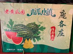 -西瓜小镇