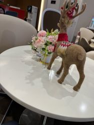 -上海玫瑰医疗美容医院