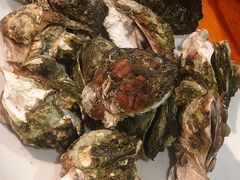-南蚝小贝海鲜特色餐厅(南澳岛店)