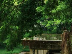 -燕晗山郊野公园