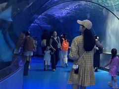 -泉城欧乐堡海洋极地世界