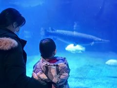 -烟台海昌鲸鲨海洋公园