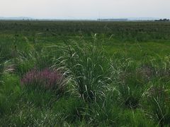 -敕勒川草原文化旅游区