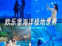 -泉城欧乐堡海洋极地世界