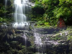 -碧峰峡风景区