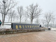 -秦始皇帝陵博物院-丽山园