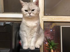 -宠颐生中康贝怡动物医院