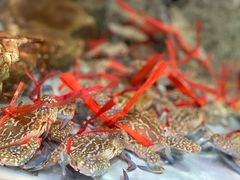 -快乐海鲜城(虎泉街店)